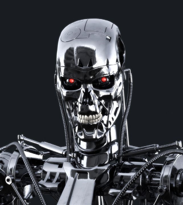The T-800 endoskeleton